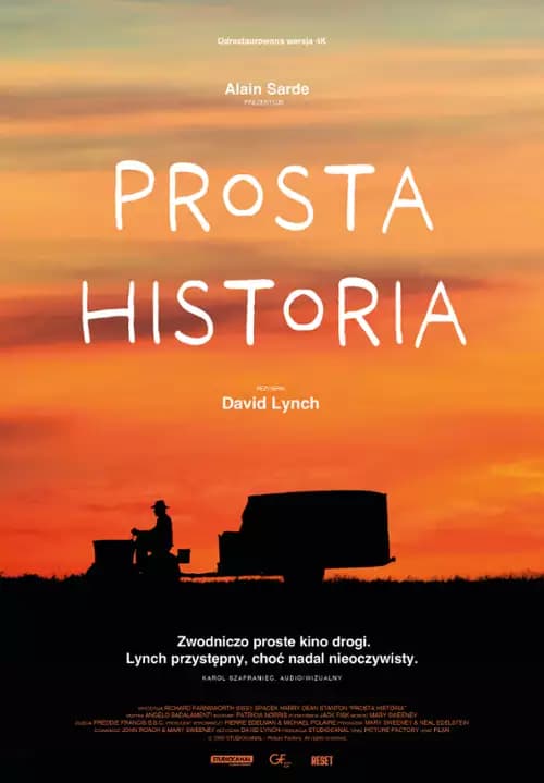 Plakat filmu: Prosta historia