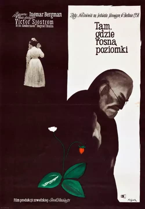 Plakat filmu: Tam, gdzie rosną poziomki