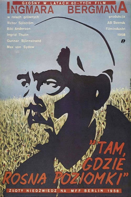 Plakat filmu: Tam, gdzie rosną poziomki