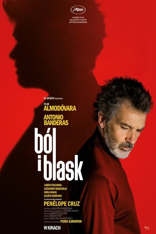 Plakat filmu: Ból i blask