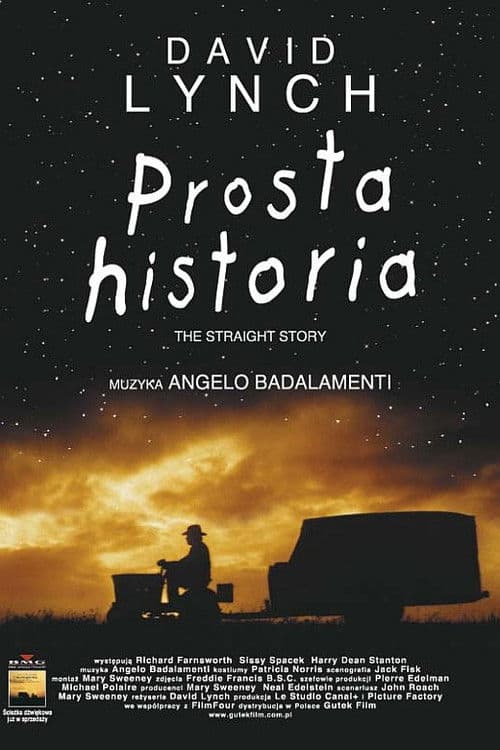 Plakat filmu: Prosta historia
