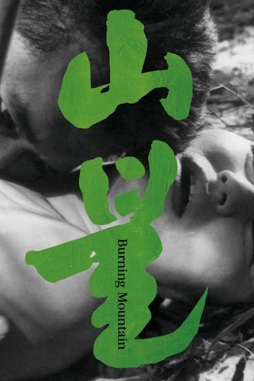 Plakat filmu: 山불
