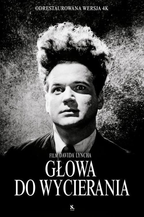Plakat filmu: Głowa do wycierania