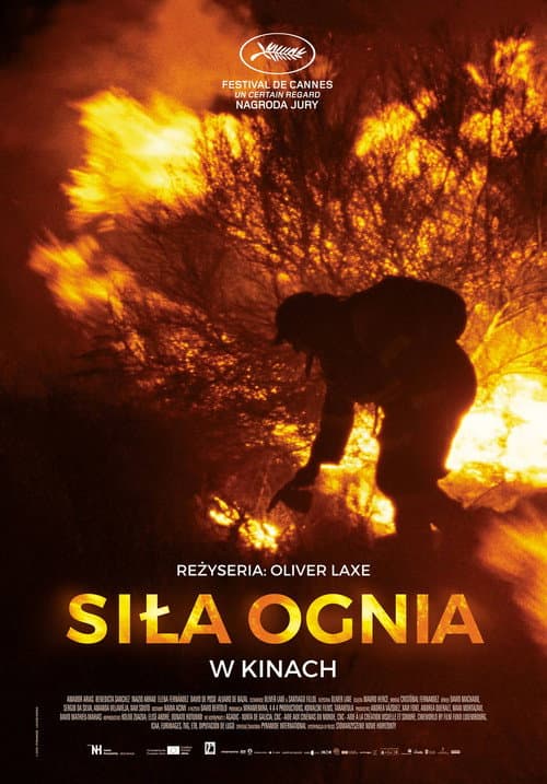 Plakat filmu: Siła ognia