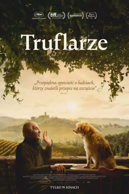 Plakat filmu: Truflarze