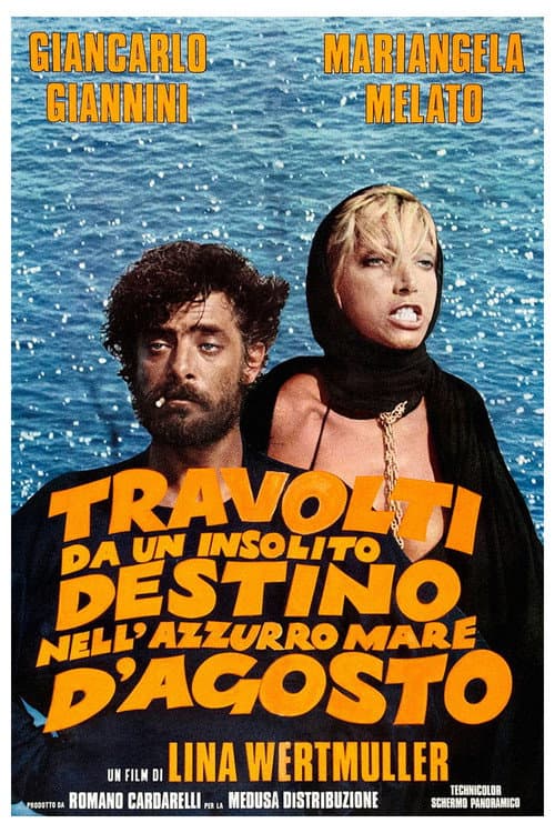 Plakat filmu: Travolti da un insolito destino nell'azzurro mare d'agosto