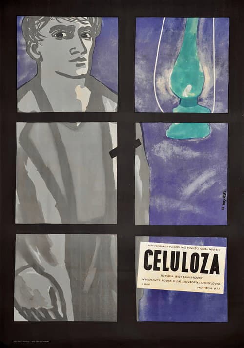 Plakat filmu: Celuloza