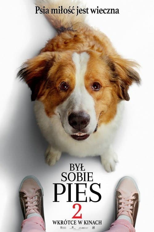 Plakat filmu: Był sobie pies 2