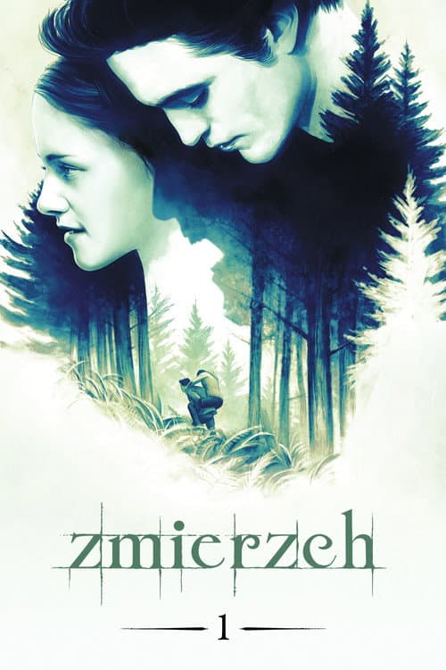 Plakat filmu: Zmierzch