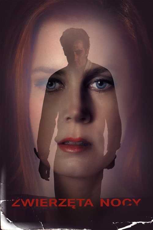 Plakat filmu: Zwierzęta nocy
