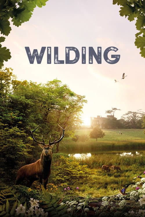 Plakat filmu: Wilding