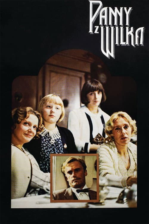 Plakat filmu: Panny z Wilka