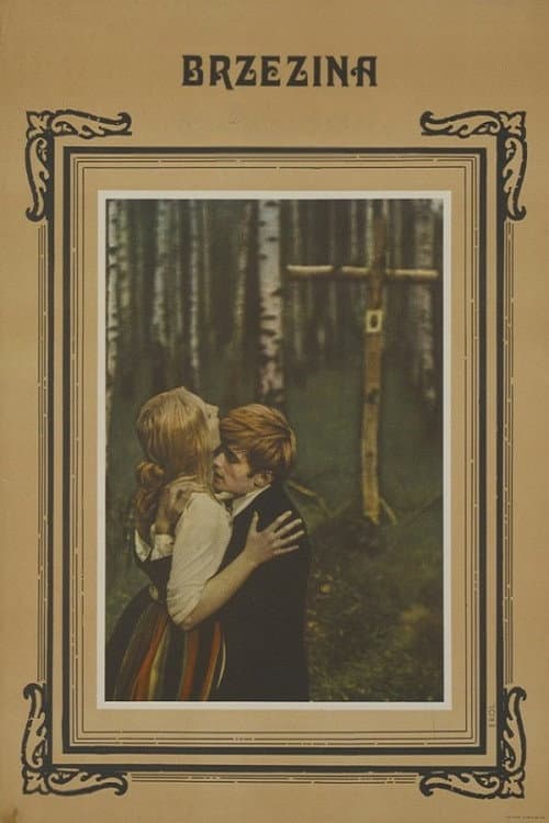 Plakat filmu: Brzezina