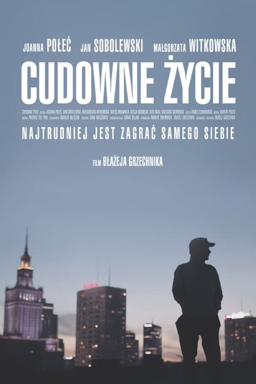Plakat filmu: Cudowne życie