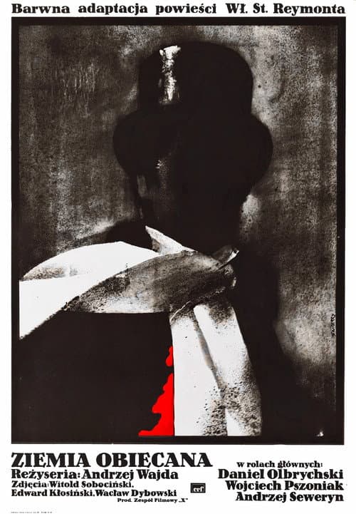 Plakat filmu: Ziemia obiecana