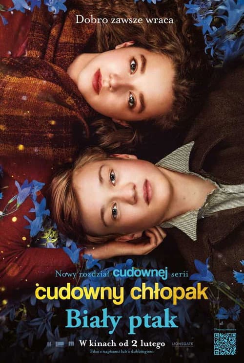 Plakat filmu: Cudowny chłopak. Biały ptak