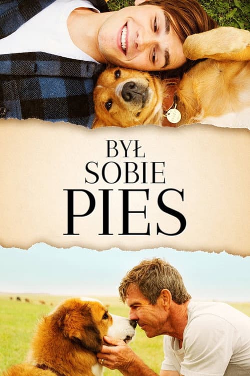 Plakat filmu: Był Sobie Pies