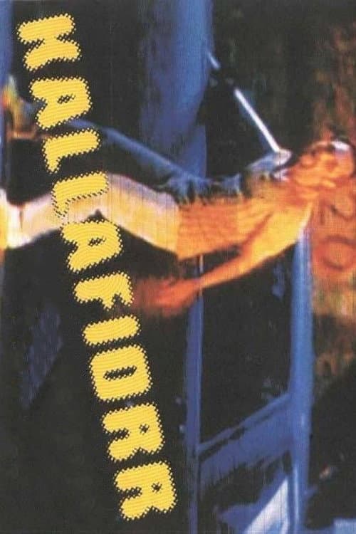 Plakat filmu: Kallafiorr