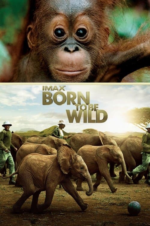 Plakat filmu: Dzikie z natury