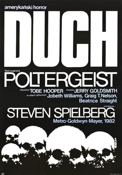 Plakat filmu: Duch