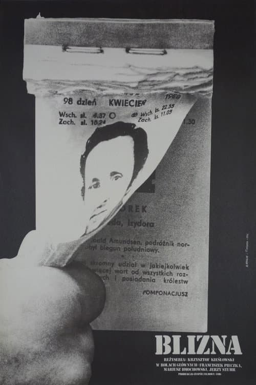 Plakat filmu: Blizna
