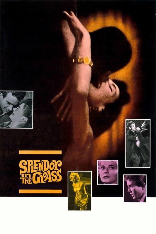 Plakat filmu: Wiosenna bujność traw