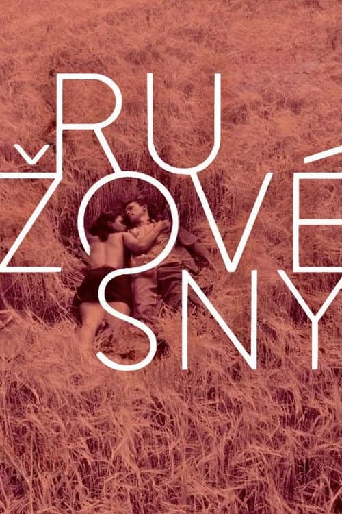 Plakat filmu: Ružové sny