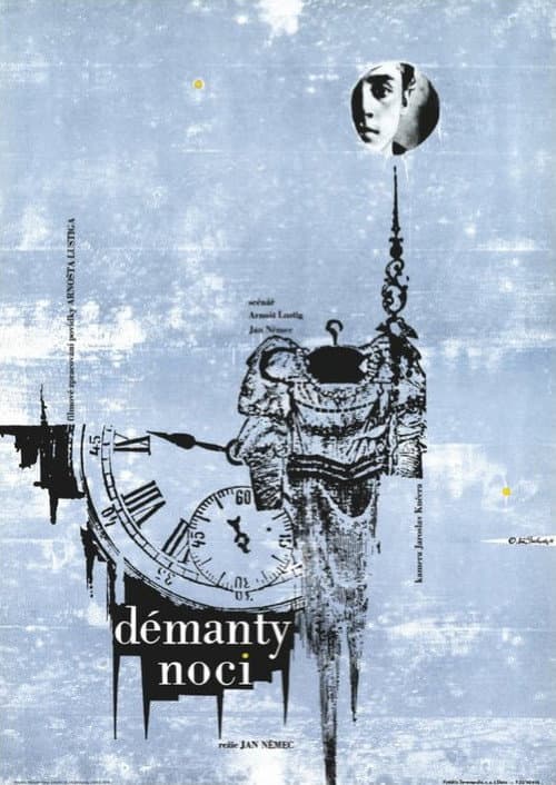 Plakat filmu: Diamenty nocy