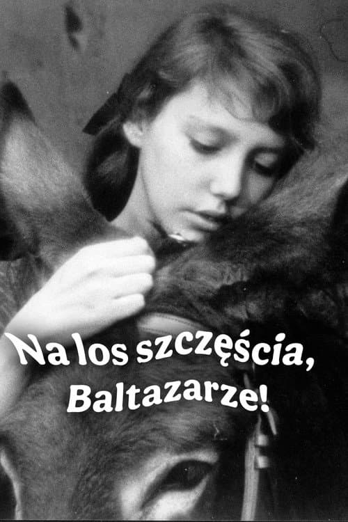 Plakat filmu: Na los szczęścia, Baltazarze!