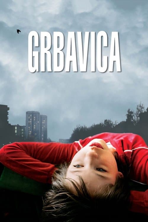 Plakat filmu: Grbavica